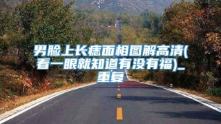 男脸上长痣面相图解高清(看一眼就知道有没有福)_重复