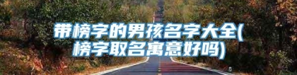 带榜字的男孩名字大全(榜字取名寓意好吗)