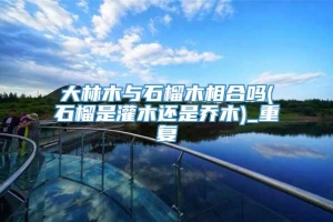 大林木与石榴木相合吗(石榴是灌木还是乔木)_重复