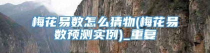 梅花易数怎么猜物(梅花易数预测实例)_重复