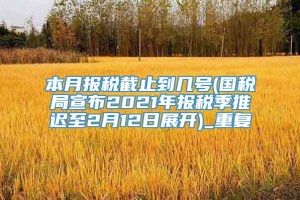 本月报税截止到几号(国税局宣布2021年报税季推迟至2月12日展开)_重复
