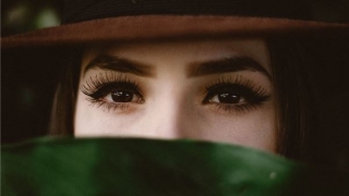 眉毛面相大全图解(面相眼眉图解)