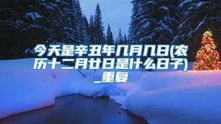 今天是辛丑年几月几日(农历十二月廿日是什么日子)_重复