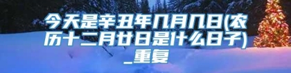 今天是辛丑年几月几日(农历十二月廿日是什么日子)_重复