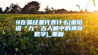 9在易经里代表什么(重阳说“九”古人眼中的神奇数字)_重复