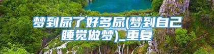 梦到尿了好多尿(梦到自己睡觉做梦)_重复