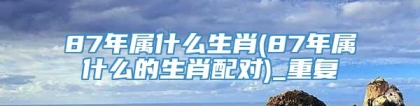 87年属什么生肖(87年属什么的生肖配对)_重复