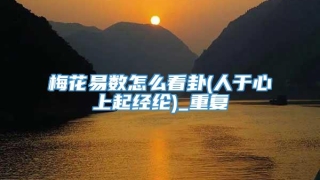 梅花易数怎么看卦(人于心上起经纶)_重复