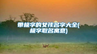 带极字的女孩名字大全(极字取名寓意)