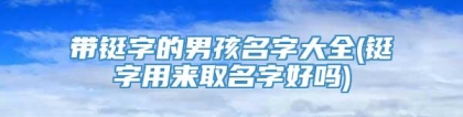 带铤字的男孩名字大全(铤字用来取名字好吗)