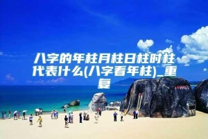 八字的年柱月柱日柱时柱代表什么(八字看年柱)_重复