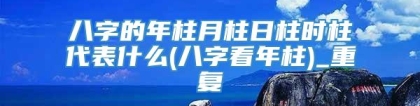 八字的年柱月柱日柱时柱代表什么(八字看年柱)_重复