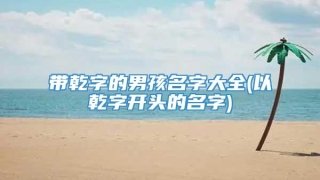 带乾字的男孩名字大全(以乾字开头的名字)