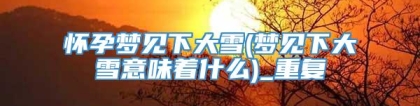 怀孕梦见下大雪(梦见下大雪意味着什么)_重复