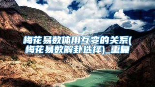 梅花易数体用互变的关系(梅花易数解卦选择)_重复