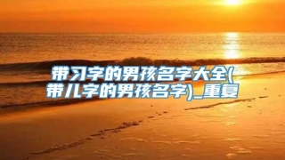 带习字的男孩名字大全(带儿字的男孩名字)_重复