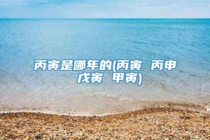 丙寅是哪年的(丙寅 丙申 戊寅 甲寅)