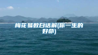 梅花易数白话解(你一生的好命)