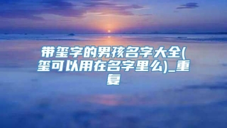 带玺字的男孩名字大全(玺可以用在名字里么)_重复