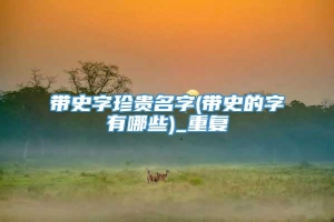 带史字珍贵名字(带史的字有哪些)_重复