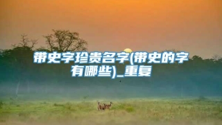 带史字珍贵名字(带史的字有哪些)_重复