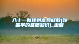 八十一数理财富最旺数(姓名学的基础知识)_重复