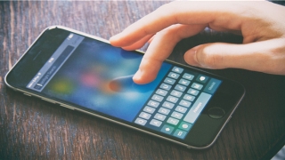 8月11日出生的人性格(“猪心人”存活俩月去世)