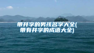 带井字的男孩名字大全(带有井字的成语大全)