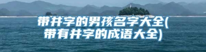 带井字的男孩名字大全(带有井字的成语大全)