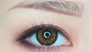 眉毛面相分析大全(眉形的种类和特点面相)