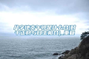 八字地支午卯是什么合(时干正财与日主相合)_重复