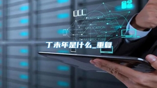 丁未年是什么_重复