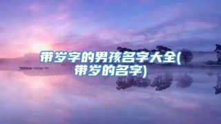 带岁字的男孩名字大全(带岁的名字)