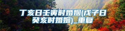 丁亥日壬寅时婚姻(戊子日癸亥时婚姻)_重复