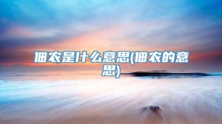 佃农是什么意思(佃农的意思)