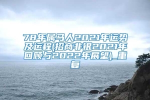 78年属马人2021年运势及运程(招商非银2021年回顾与2022年展望)_重复