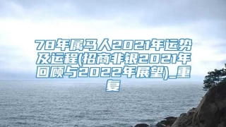 78年属马人2021年运势及运程(招商非银2021年回顾与2022年展望)_重复