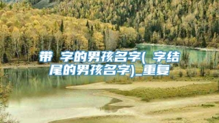 带燊字的男孩名字(燊字结尾的男孩名字)_重复