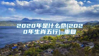 2020年是什么命(2020年生肖五行)_重复