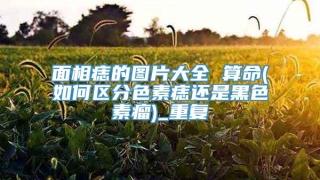 面相痣的图片大全 算命(如何区分色素痣还是黑色素瘤)_重复