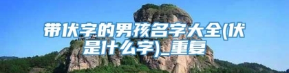 带伏字的男孩名字大全(伏是什么字)_重复