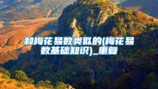 和梅花易数类似的(梅花易数基础知识)_重复