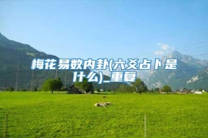 梅花易数内卦(六爻占卜是什么)_重复