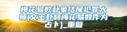梅花易数卦象结尾犯罪大师(文王卦和梅花易数作为占卜)_重复