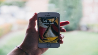 面上有痣看相图解(女人面相痣相)