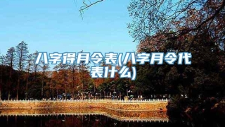 八字得月令表(八字月令代表什么)