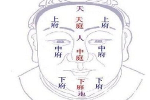 面相三停六府详解(面部三停看相)