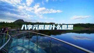 八字元辰是什么意思