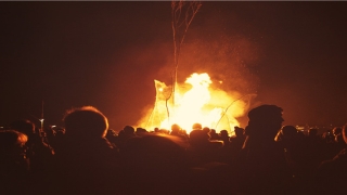 86年的虎和82年的狗的婚姻(你的生肖“守护神”)