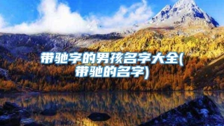 带驰字的男孩名字大全(带驰的名字)